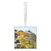 Florida Alligators sluiten foto's af Decoratie (Rechts)