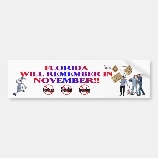 Florida - Anti-ObamaCare, nieuwe belastingen en ui Bumpersticker (Voorkant)