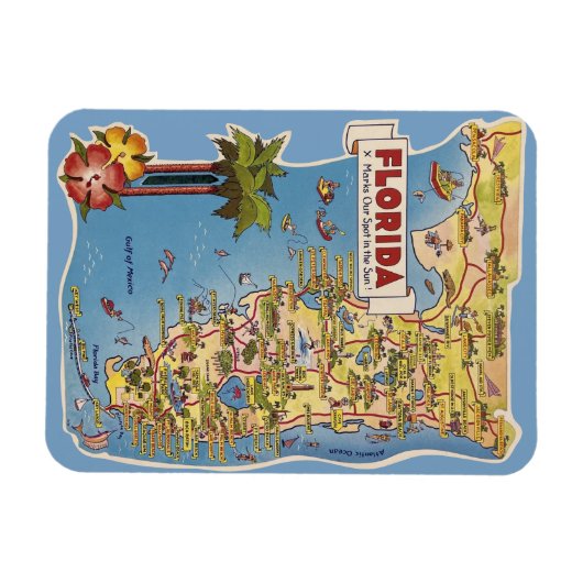 Florida Attractions Magneet (Horizontaal)