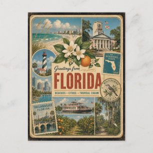 Florida Authentieke Vintage Stijl Ansichtkaart Briefkaart