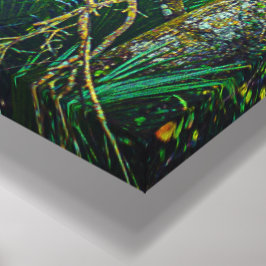 "Florida Backwood" Wall Art Canvas Afdruk