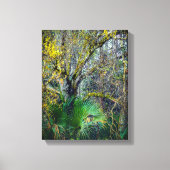 "Florida Backwood" Wall Art Canvas Afdruk (Voorkant)