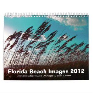 Florida Beach Afbeeldingen Foto's Kalender