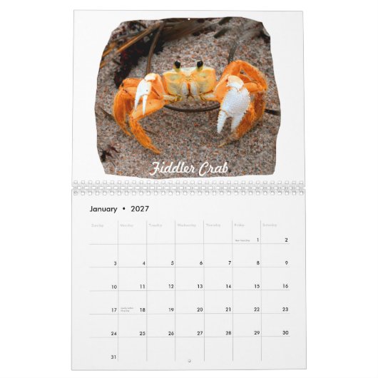 Florida Beach Afbeeldingen Foto's Kalender (Jan 2027)