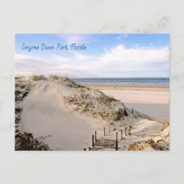 Florida Beach Dunes Park Ponce Inlet Ansichtkaart Briefkaart