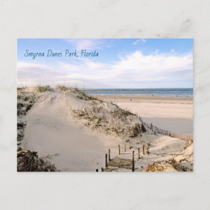 Florida Beach Dunes Park Ponce Inlet Ansichtkaart Briefkaart