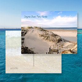 Florida Beach Dunes Park Ponce Inlet Ansichtkaart Briefkaart