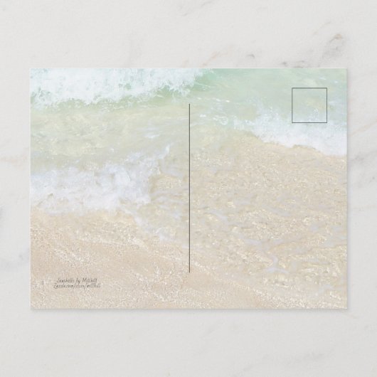 Florida Beach Dunes Park Ponce Inlet Briefkaart (Achterkant)