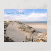 Florida Beach Dunes Park Ponce Inlet Briefkaart (Voorkant)