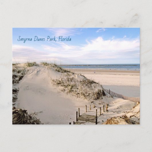 Florida Beach Dunes Park Ponce Inlet Briefkaart (Voorkant)