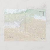 Florida Beach Dunes Park Ponce Inlet Briefkaart (Achterkant)