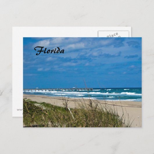 Florida Beach en Pier Briefkaart (Voorkant / Achterkant)