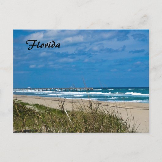 Florida Beach en Pier Briefkaart (Voorkant)