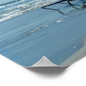 Florida Beach fotografie Poster (Hoek)