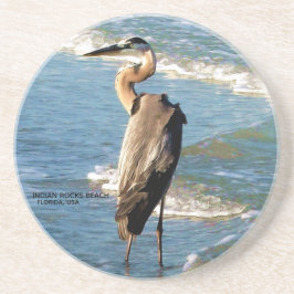 Florida Beach Great Blue Heron Bird Natuur Foto Zandsteen Onderzetter