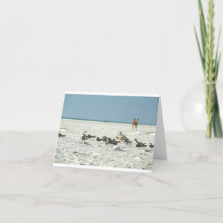 Florida Beach met meeuwen fine art fotografie Bedankkaart