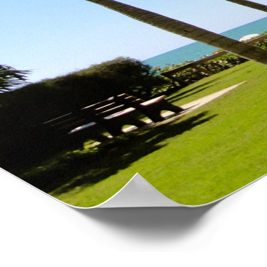 FLORIDA BEACH PALM TREPICAL PARK POSTER (Hoek)