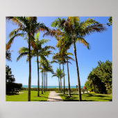 FLORIDA BEACH PALM TREPICAL PARK POSTER (Voorkant)