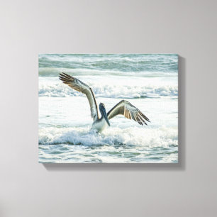 Florida Beach Pelican Canvas Afdruk
