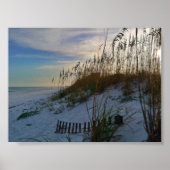 Florida Beach Poster (Voorkant)