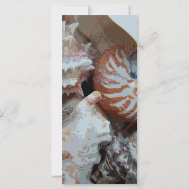 Florida Beach schelpen (Voorkant)