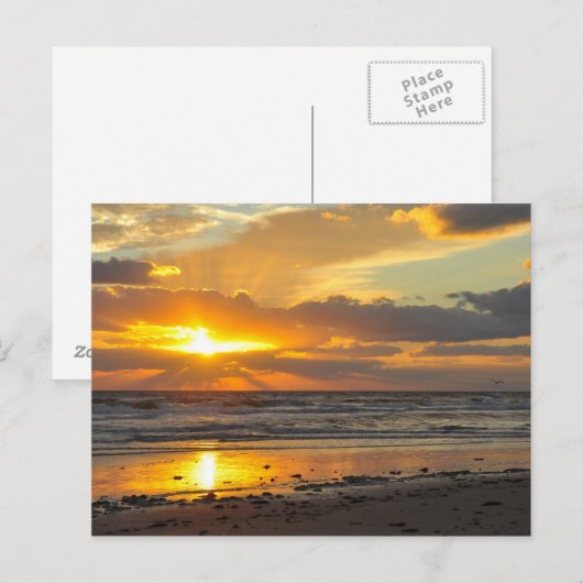 Florida Beach Schilderachtig Sunrise Mok Briefkaart (Voorkant / Achterkant)