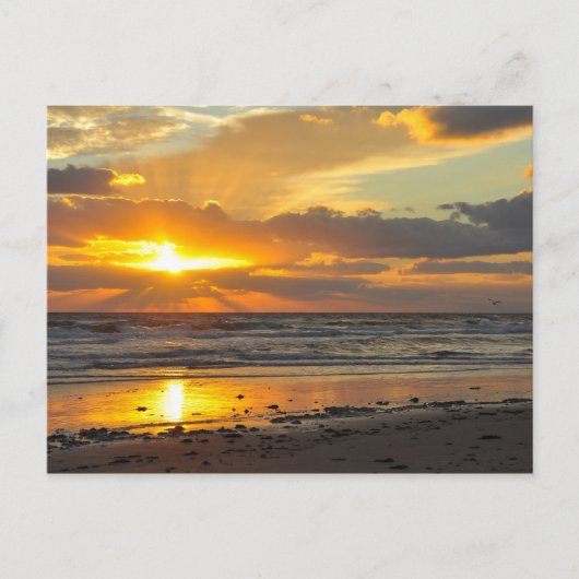 Florida Beach Schilderachtig Sunrise Mok Briefkaart (Voorkant)