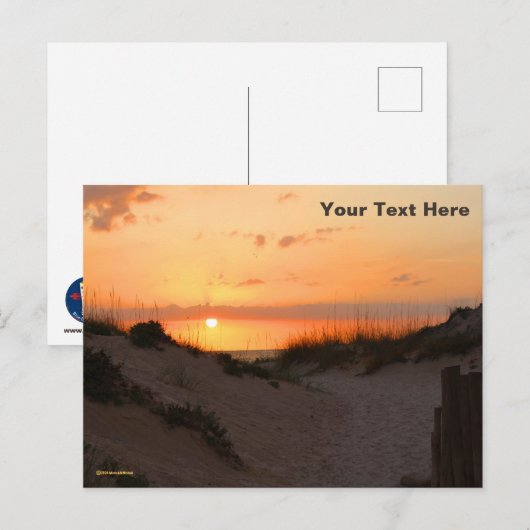 Florida Beach Sunset Briefkaart (Voorkant / Achterkant)