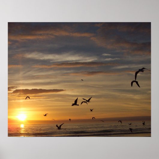 Florida Beach Sunset met vogels Poster (Voorkant)