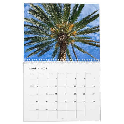 Florida Beaches Mooie Oceaan Fotografie 2026 Kalender (Mar 2026)