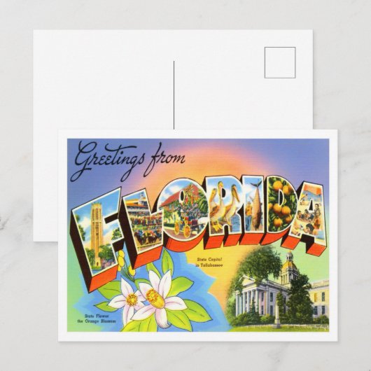 Florida  Big Letters Briefkaart (Voorkant / Achterkant)