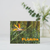 Florida Bird of Paradise Briefkaart (Staand voorkant)