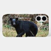 Florida Black Bear Case-Mate iPhone Case (Achterkant (horizontaal))