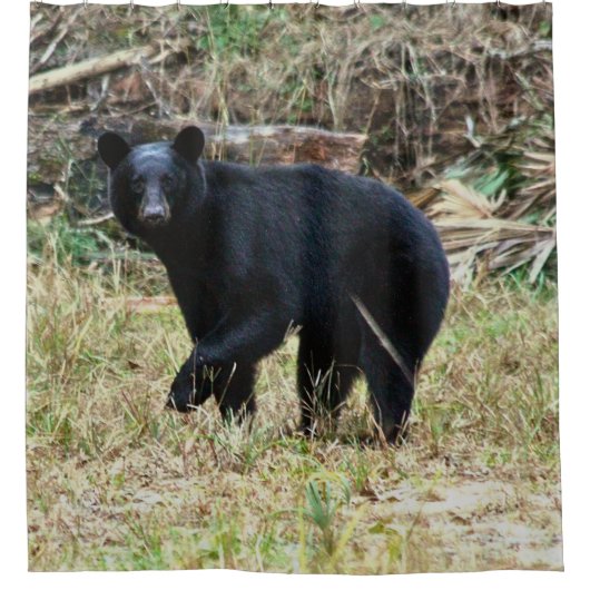 Florida Black Bear Douchegordijn (Voorkant)