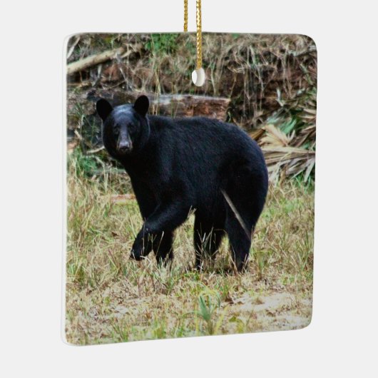 Florida Black Bear Keramisch Ornament (Rechts)