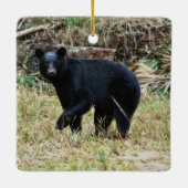 Florida Black Bear Keramisch Ornament (Achterkant)