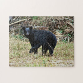 Florida Black Bear Legpuzzel