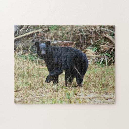 Florida Black Bear Legpuzzel (Horizontaal)