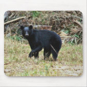 Florida Black Bear Muismat (Voorkant)