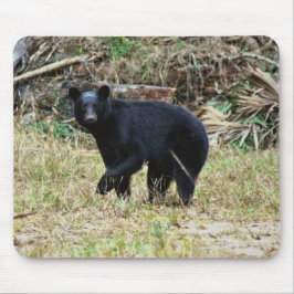 Florida Black Bear Muismat