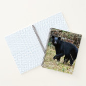Florida Black Bear Notitieboek (Binnen)