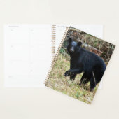 Florida Black Bear Planner (Display)