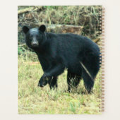 Florida Black Bear Planner (Achterkant)