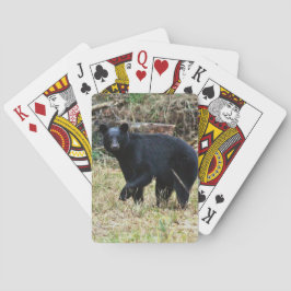 Florida Black Bear Pokerkaarten