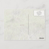 Florida Bobcat Briefkaart (Achterkant)