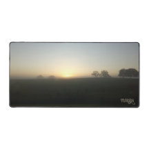 Florida Boerderij Ochtend Zonsopgang Natuurfotogra