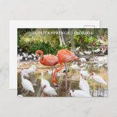 Florida Bonita Springs Roze Flamingo Reizen Briefkaart (Voorkant / Achterkant)