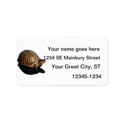 Florida Box schildpad foto met Shadow Cutout Etiket (Voorkant)