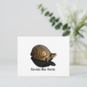 Florida Box schildpad Foto met tekst Briefkaart (Staand voorkant)