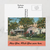 Florida, Bradenton, White Heron Groves Briefkaart (Voorkant / Achterkant)